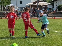 Pfingstturnier-2026